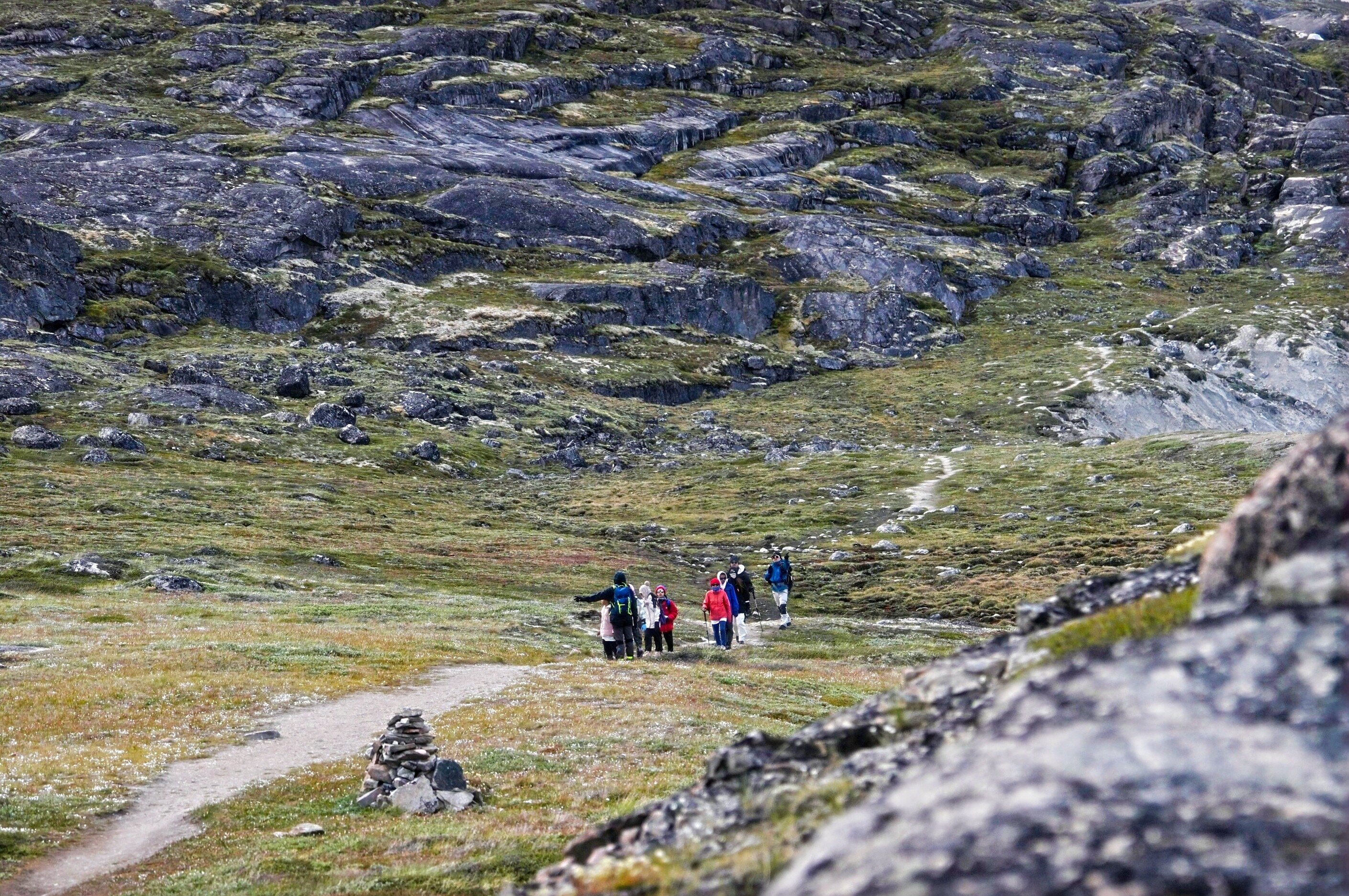团队成员在格陵兰壮丽景色中协作的意象